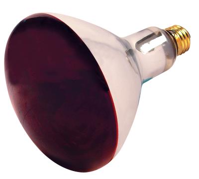 Satco S4998 250 Watt R40 Incandescent - Red Heat - 6000 Average rated hours - Medium base - 120 Volt