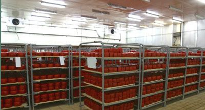 lit FHE-432-SD-1/4-CS89 LIT