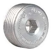 Killark PLUG2 ", (Zinc Plated) Threaded Insert Plug