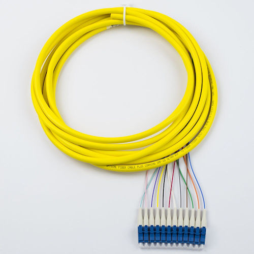 Product image for Lynn T12-LU119-BL-SRD-003M 12 Fiber 900um Pigtail, 9/125 Singlemode Simplex, 3m