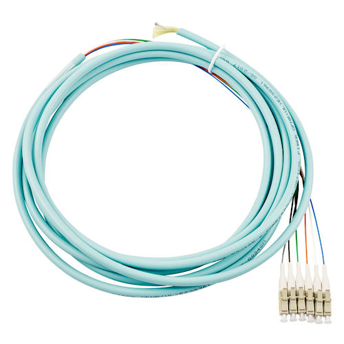 Product image for Lynn T6-L119-BL-4RD-003M 6 Fiber 900um Pigtail, Sub-Distribution Style, OM4 50/125 Multimode, Simplex to Blunt, 3m