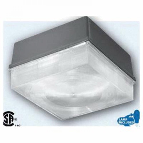 Product image for Current NRG-413P8 Flood Light, Pulse Start Metal Halide, 100W, Bronze