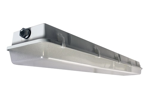 Product image for Lithonia DMW232-MVOLT-GEB10IS 4' 2-Lamp Wet-Location Fixture