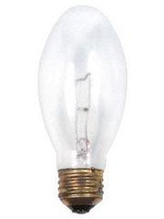Elliptical Shaped Bulbs