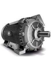 Severe Duty Motors