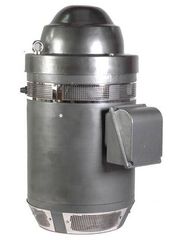 Vertical Hollow Shaft Motor
