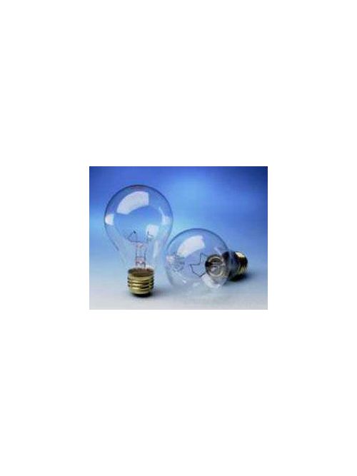 Product image for Sylvania 12572 130 Volt 67 W 610 lm Clear E26 Medium Base A21 Incandescent Lamp