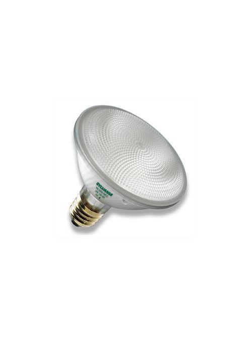 Product image for Sylvania 16121 130 Volt 39 W 100 CRI 2850 K 550 lm Spot E26 Medium Base PAR30 Reflector Halogen Lamp