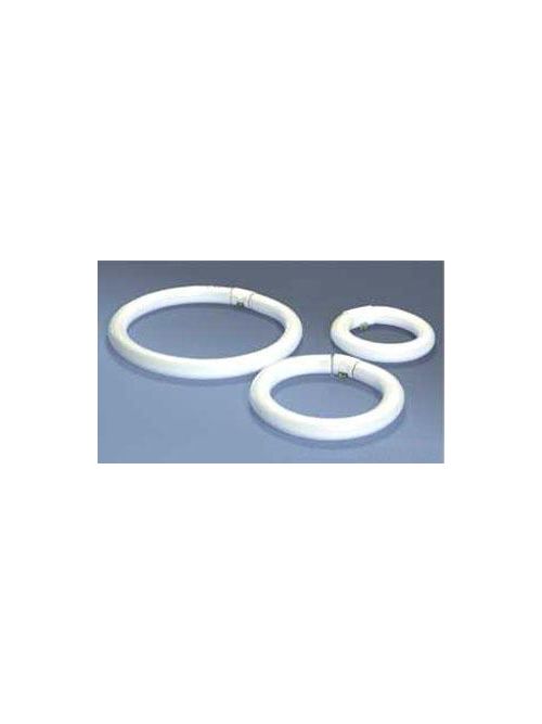 Product image for Sylvania 20156 20 W 60 CRI 4200 K 750 lm 4-Pin T9 Rapid Start Fluorescent Lamp