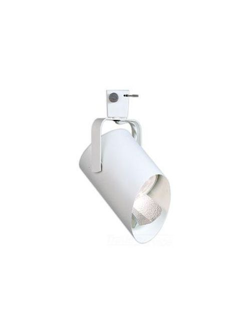 Product image for Philips Lighting 6310 R30 100 W White Basic Wall Washer