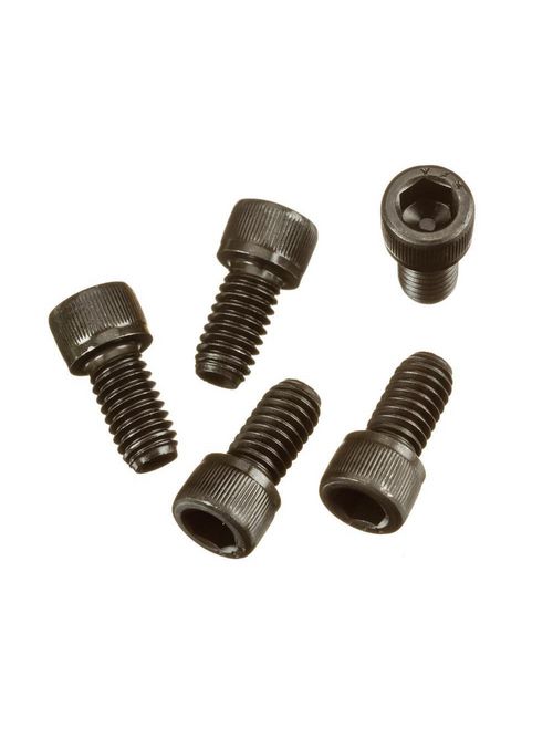 Product image for RDG 32275 PKG OF 5 SOC HD SCREWS