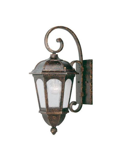 Product image for Savoy House Lighting 5-1401-56 New Tortoise Shell Main Street Birchwood Wall Mount Lantern