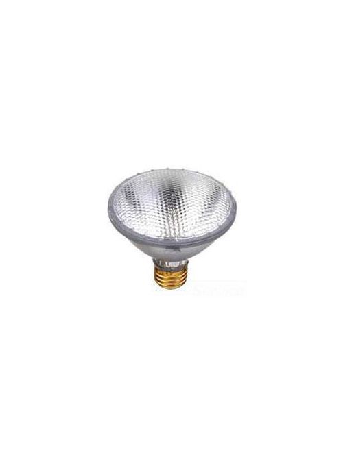 Sylvania 14629 130 Volt 75 W 100 CRI 2900 K 1130 lm Flood E26 Medium Base PAR30 Reflector Halogen Lamp Sylvania 14629 130 Volt 75 W 100 CRI 2900 K 1130 lm Flood E26 Medium Base PAR30 Reflector Halogen Lamp