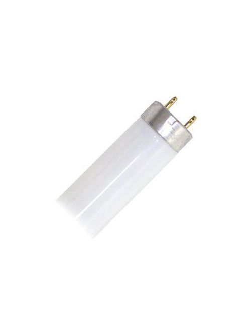 Sylvania 21427 32 W 83 CRI 3000 K 2900 lm Medium Bi-Pin Base T8 Fluorescent Lamp Sylvania 21427 32 W 83 CRI 3000 K 2900 lm Medium Bi-Pin Base T8 Fluorescent Lamp