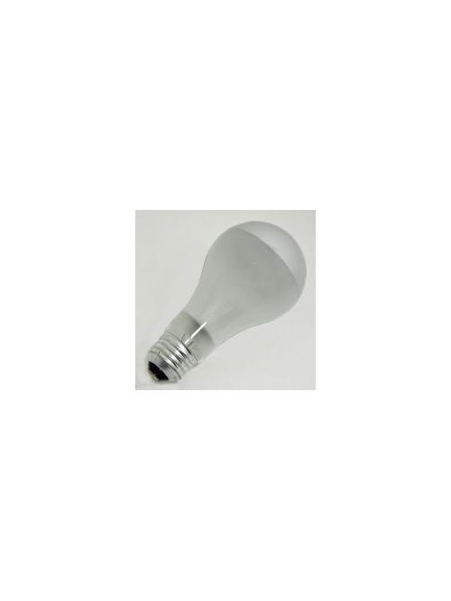 Product image for Sylvania 13195 120 Volt 100 W Silver E26 Medium Base A21 Decorative Incandescent Lamp