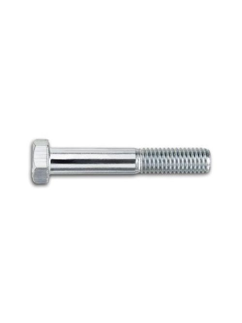 Product image for DeWalt / Powers 007047 1/2 x 3" Zinc Lag Bolt