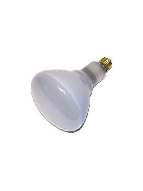 Product image for Sylvania Ecologic 14781 130 Volt 300 W 100 CRI 3030 lm Inside Frosted Flood E26 Medium Base BR40 Incandescent Lamp