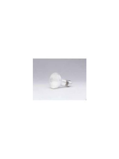 Product image for Sylvania 14832 130 Volt 50 W 330 lm Flood E26 Medium Base R20 Reflector Incandescent Lamp