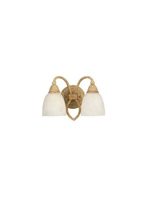 Product image for Sea Gull Lighting 40074-806 2-Lamp 100 W 120 Volt Desert Rose Medium A19 Wall/Bath Mount Light Fixture
