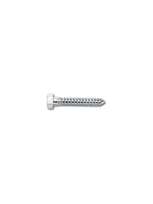 Product image for DeWalt / Powers 007018 5/16 x 2" Zinc Lag Bolt