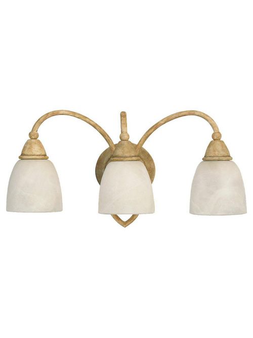 Sea Gull Lighting 40075-806 3-Lamp 100 W 120 Volt Desert Rose Medium A19 Wall/Bath Mount Light Fixture Sea Gull Lighting 40075-806 3-Lamp 100 W 120 Volt Desert Rose Medium A19 Wall/Bath Mount Light Fixture