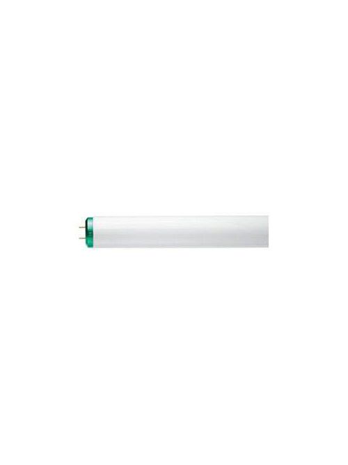 Product image for Sylvania 99997 Cool White T12 High Output Fluorescent Lamp