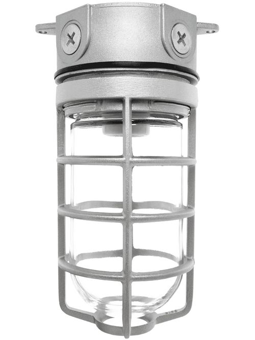 RAB VX100DG 150 W Natural Die-Cast Aluminum Incandescent Vaportight Ceiling Fixture with Guard RAB VX100DG 150 W Natural Die-Cast Aluminum Incandescent Vaportight Ceiling Fixture with Guard
