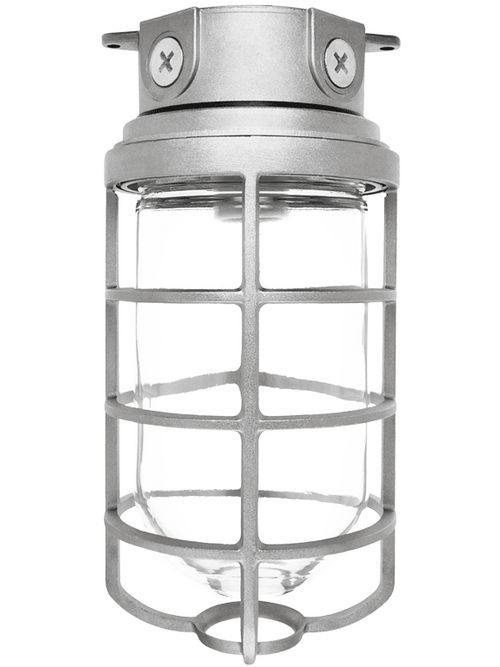 RAB VX200DG 300 W Natural Die-Cast Aluminum Incandescent Vaportight Ceiling Fixture with Guard RAB VX200DG 300 W Natural Die-Cast Aluminum Incandescent Vaportight Ceiling Fixture with Guard