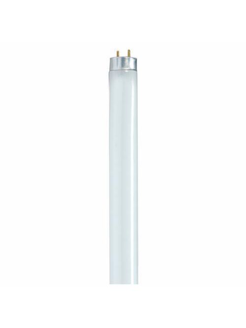 Product image for Satco S8415 32 Watt; T8; Fluorescent; 4100K Cool White; 75 CRI; Medium Bi Pin base