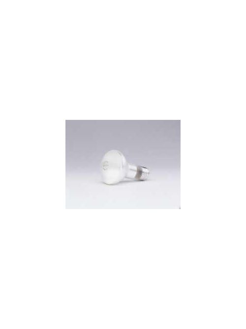 Product image for Sylvania Ecologic 14794 120 Volt 30 W 100 CRI 140 lm Inside Frosted E26 Medium Base R20 Reflector Incandescent Lamp