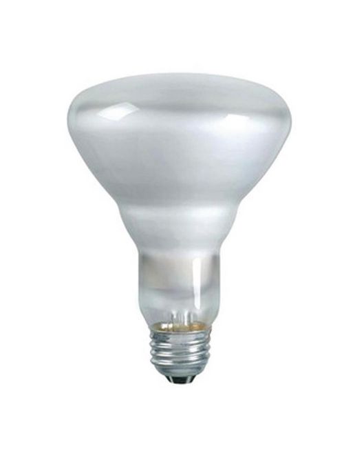 Shat-R-Shield 01222 65 W 130 Volt 100 CRI 2680 K 605 Lumen Medium Base BR30 PFA Coated Incandescent Lamp Shat-R-Shield 01222 65 W 130 Volt 100 CRI 2680 K 605 Lumen Medium Base BR30 PFA Coated Incandescent Lamp
