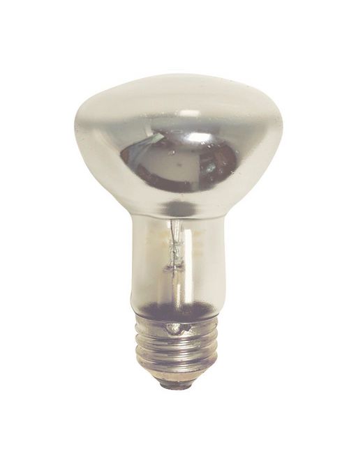 Product image for Shat-R-Shield 01749 45 W 120 Volt 100 CRI 385 Lumen Medium Base R20 PFA Coated Incandescent Lamp