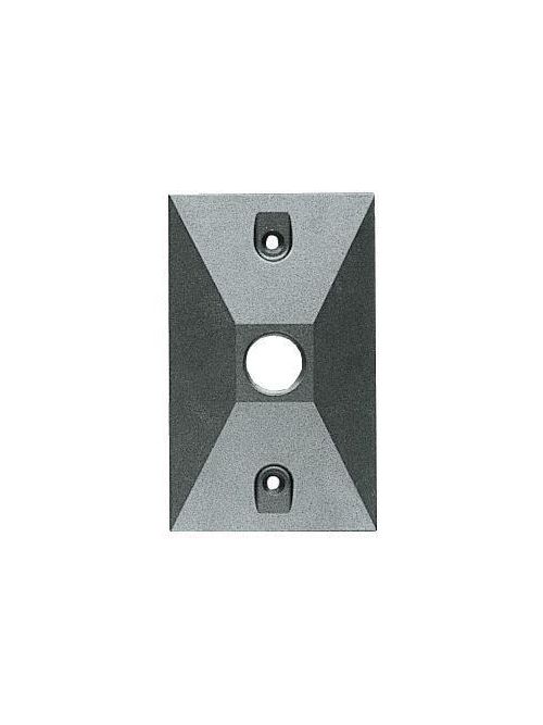 Product image for RAB R14-1 2-7/8 x 4-5/8 Inch 1-Hole Rectangular Silver Gray Die-Cast Aluminum Weatherproof Cover