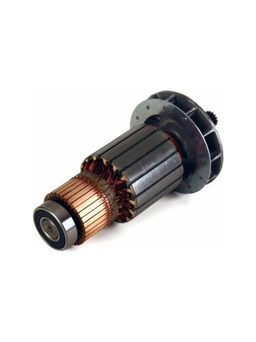 Product image for RDG 44010 ARMATURE, ASM 115V