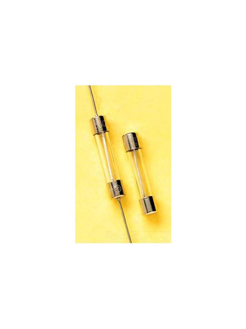 FERRAZ GGC45/100 76060 FUSE,MINIATU FERRAZ GGC45/100 76060 FUSE,MINIATU