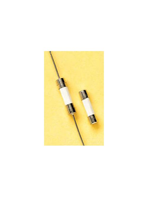 Product image for FRZ GSD8/100 250V 8/100A 5X20mm FA FUSE
