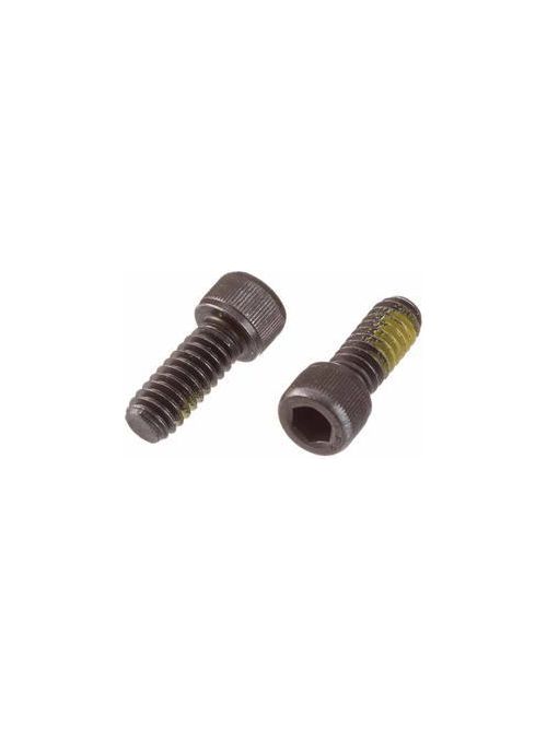 Product image for RDG 39830 PKG OF 2 NYLOK SCREWS