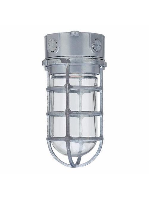 Product image for Teddico VPXG-11-CGI 1/2 Inch Hub 100 W Incandescent Clear Glass Box Mount Vaportight Light Fixture with Cast Guard