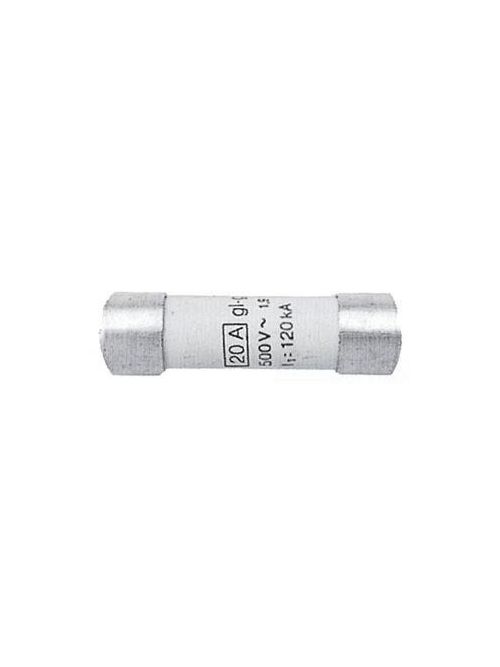 Mersen 16013-G 10 x 38 mm 2 Amp 500 Volt Cylindrical Fuse Link
