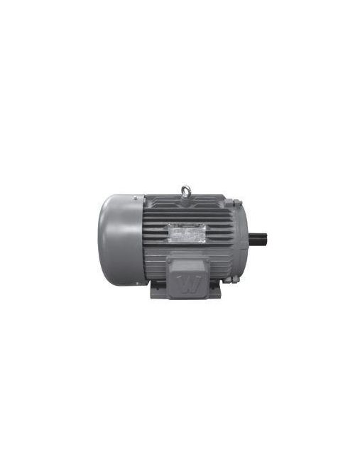 Product image for Worldwide Motors EP20-18-256T 3-Phase 208-230/460 and 460 Volt Motor