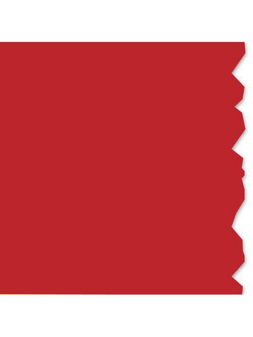 Product image for TYN 591-00233 White ribbon for Spor