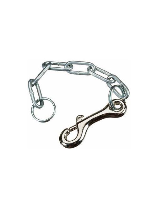 Product image for RDG 40945 CHAIN, ASM LEG
