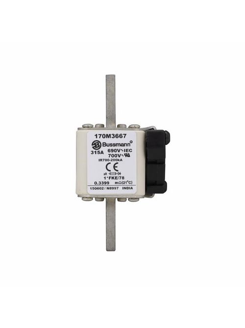 BUSS 170M3667 FUSE 315A 690V 1*FKE/ BUSS 170M3667 FUSE 315A 690V 1*FKE/