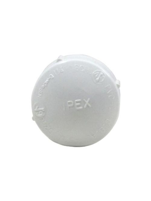 Product image for IPE 035426 (448012) 1-1/4 SCH40 PVC CAP FPT