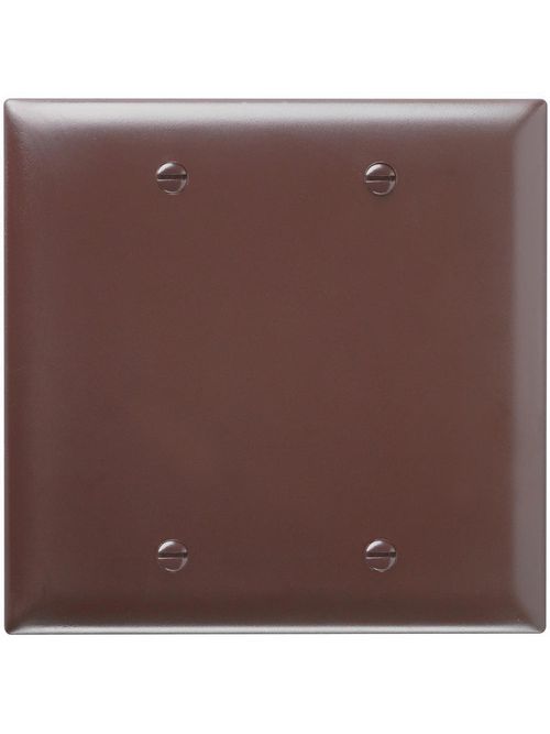 Pass & Seymour TP23 2-Gang Blank Brown Nylon Standard Unbreakable Wallplate Pass & Seymour TP23 2-Gang Blank Brown Nylon Standard Unbreakable Wallplate