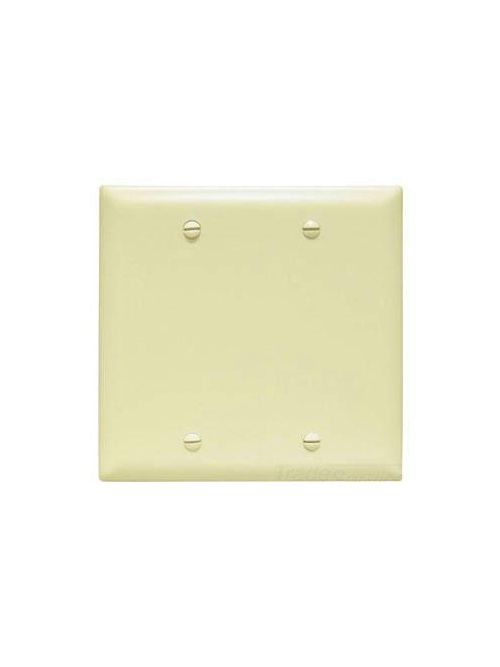 Pass & Seymour TP23-GRY 2-Gang Blank Gray Nylon Standard Unbreakable Wallplate Pass & Seymour TP23-GRY 2-Gang Blank Gray Nylon Standard Unbreakable Wallplate
