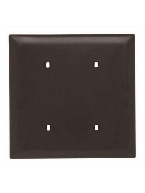 Pass & Seymour TP24 2-Gang Blank Brown Nylon Standard Unbreakable Wallplate Pass & Seymour TP24 2-Gang Blank Brown Nylon Standard Unbreakable Wallplate