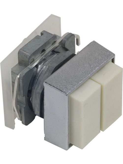 Product image for Square D 9001KXRC 30 mm Metal Bezel Momentary Square Dual Non-Illuminated Push Button Operator