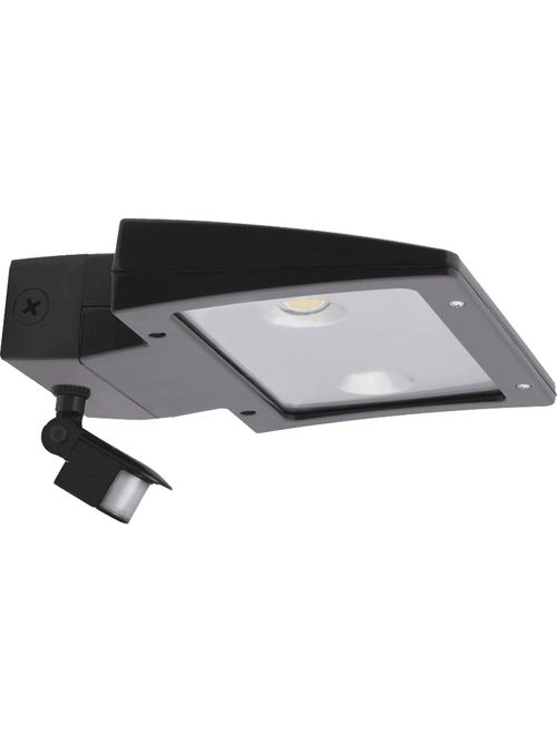 Product image for RAB WPLED20MS WALLPK 20W 5K J. BOX