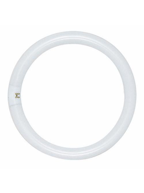 SATCO S6500 22 W 62 CRI 4100 K 1120 Lumen G10Q 4-Pin Base T9 Circline Fluorescent Lamp SATCO S6500 22 W 62 CRI 4100 K 1120 Lumen G10Q 4-Pin Base T9 Circline Fluorescent Lamp